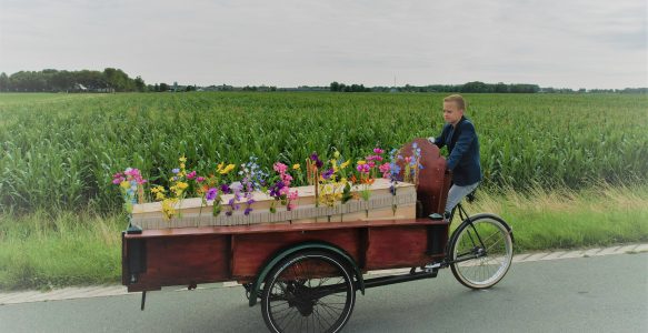 Rouwvervoer
